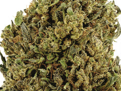 Bubba Kush 59 CBD Flower Sun grown
