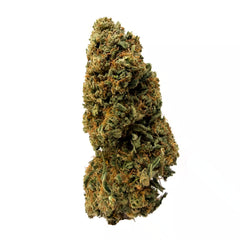 Bubblegum CBD Flower