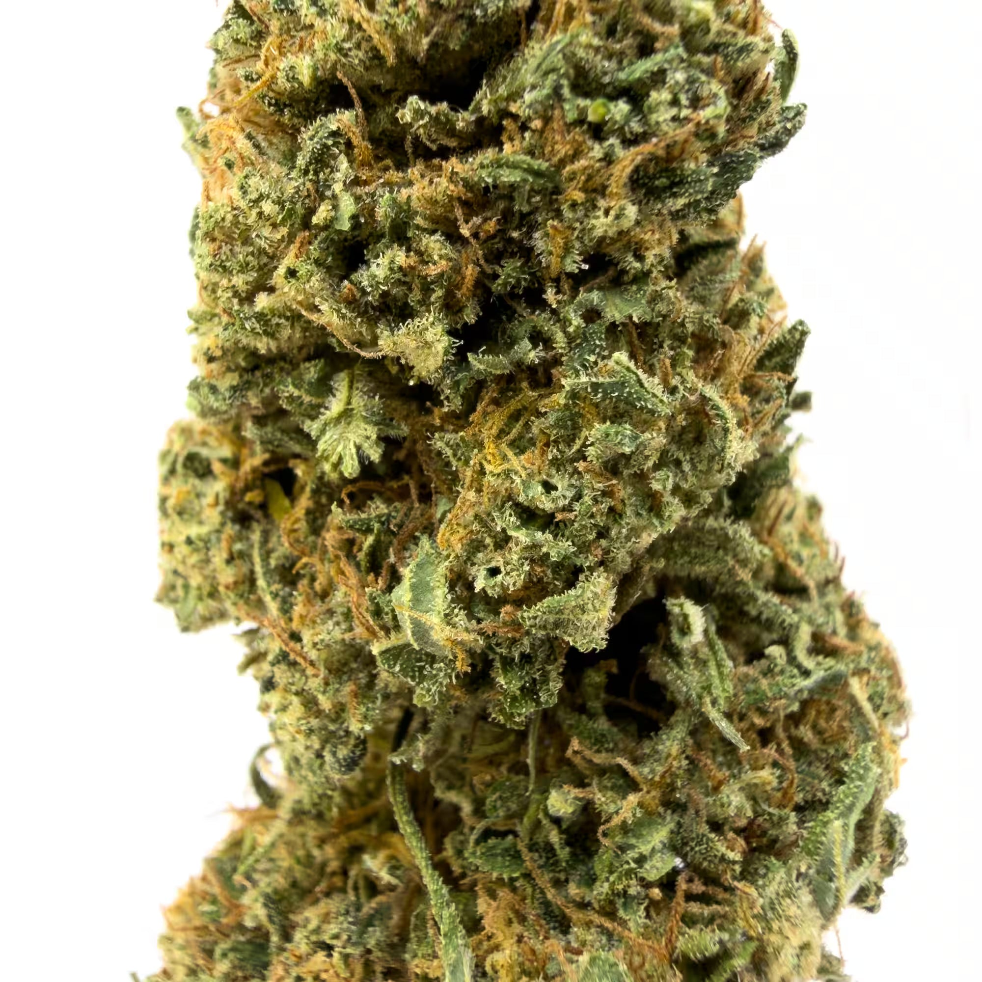 Bubblegum CBD Flower