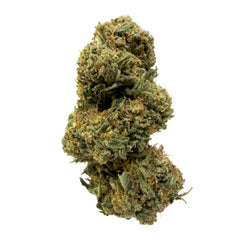 Bubblegum CBD Flower