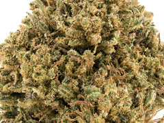Fyre OG CBD Flower Sun grown