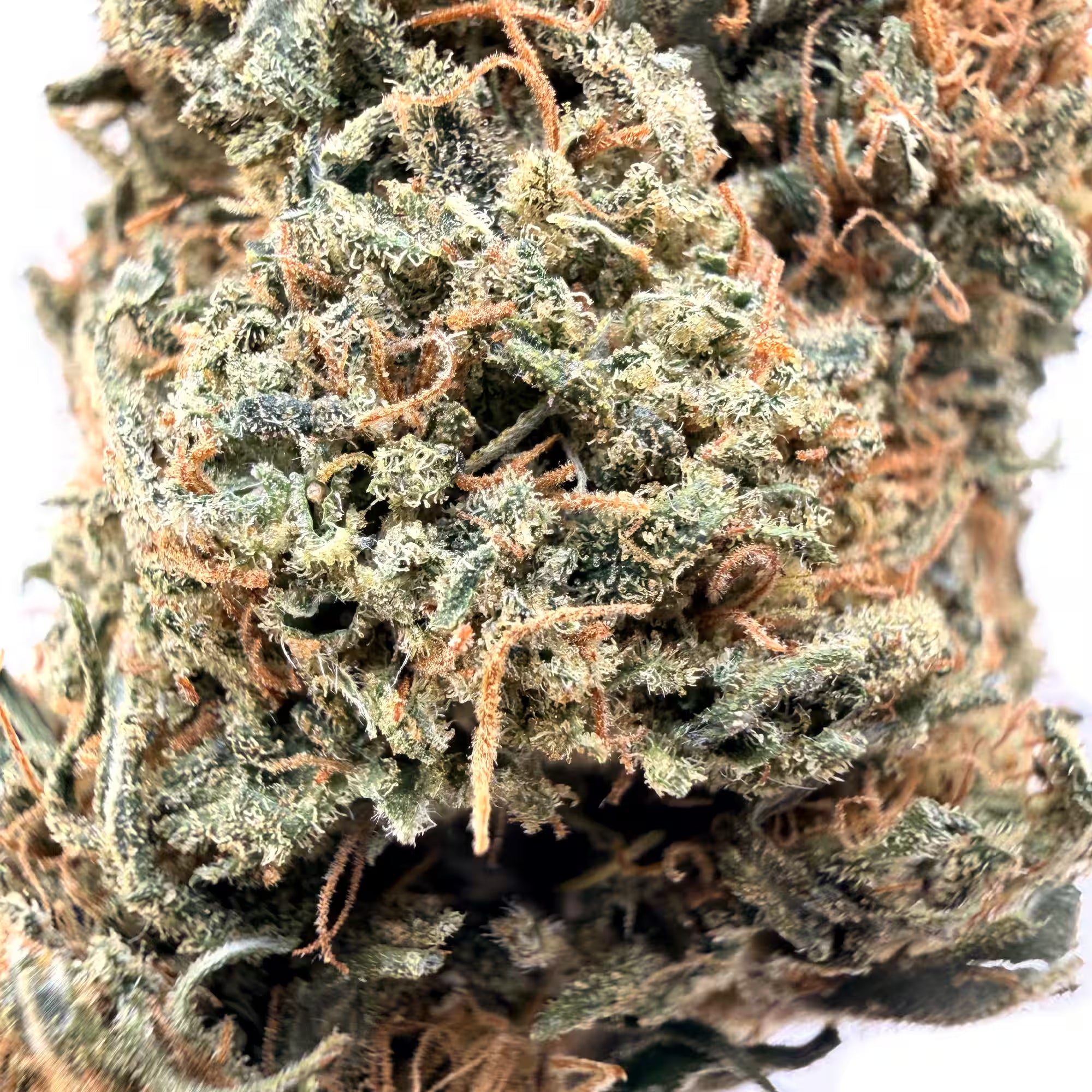 Gelato 33 CBD Flower