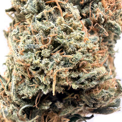 Gelato 33 CBD Flower