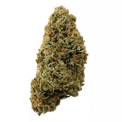 Gelato 33 CBD Flower
