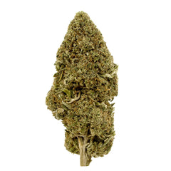 Lavender Cupcakes CBD Flower Sun grown