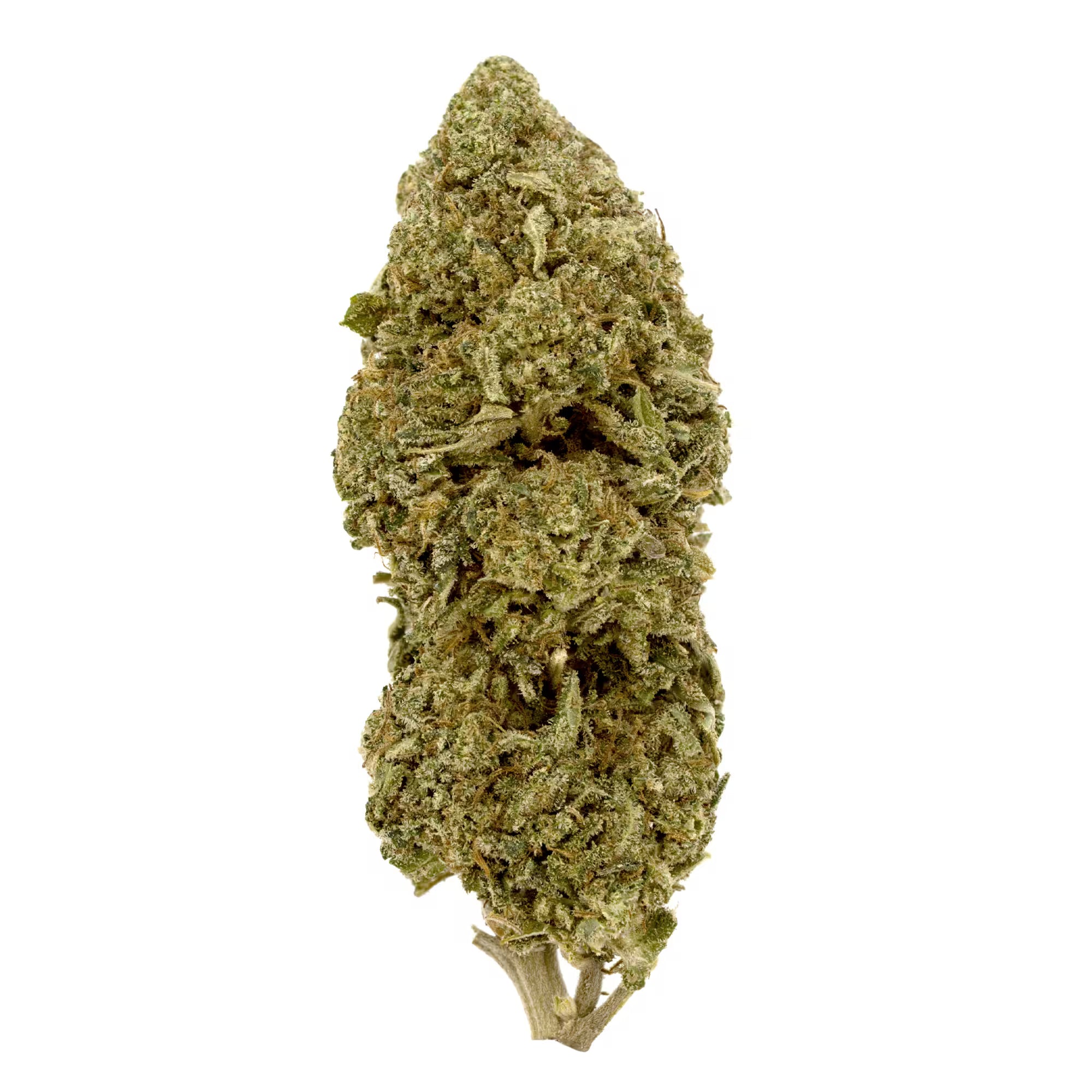 Lavender Cupcakes CBD Flower Sun grown