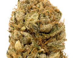 Lemon CBG Flower