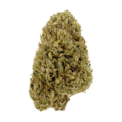Lemon Octane #13 CBD Flower Sun grown