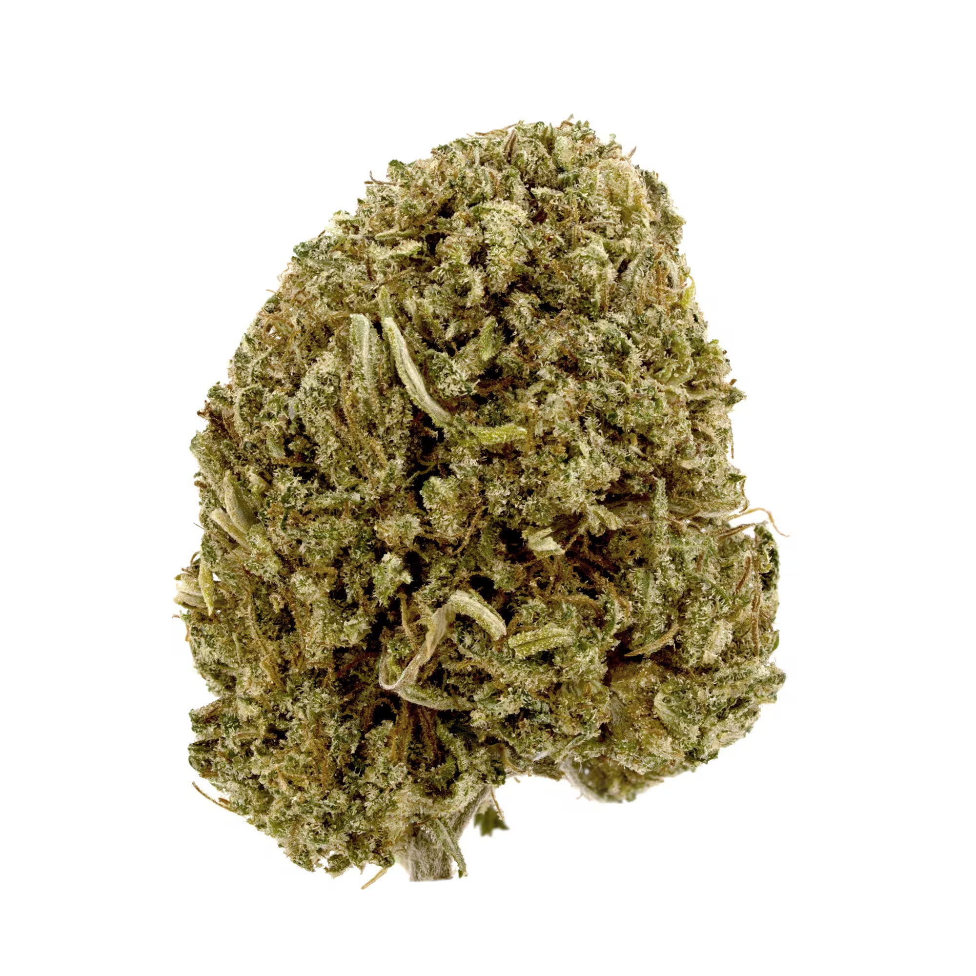 Lemon Octane #13 CBD Flower Sun grown