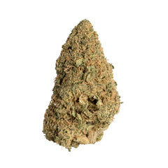 Mango Haze CBD Flower