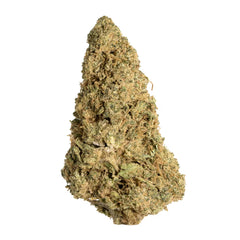 Mango Haze CBD Flower