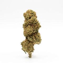 Orange Bud CBD Flower
