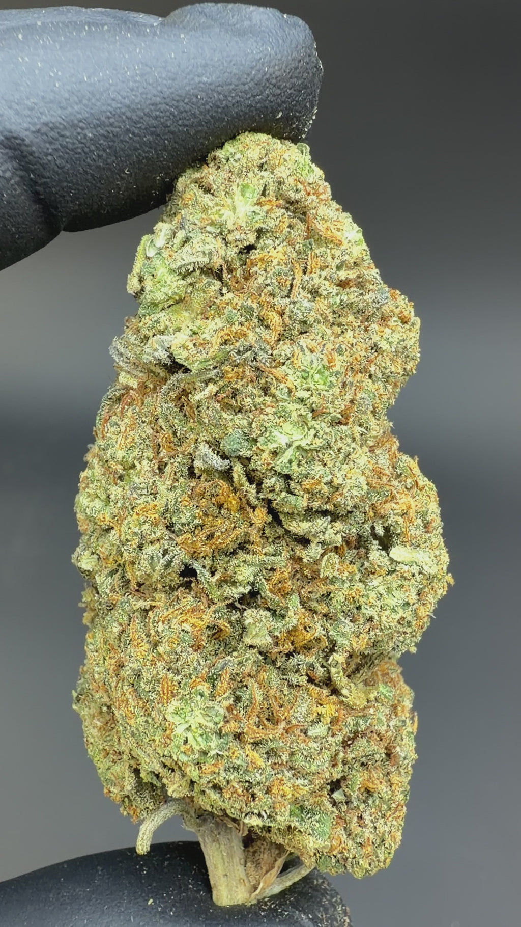 This Video is Representing the buds detailed look and premium ness and freshness 2 hand is showing Allium OG CBD Flower from every corner in this Video.