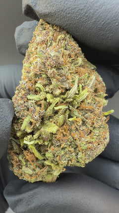 Rainbow Sherbet CBD Flower Sun grown