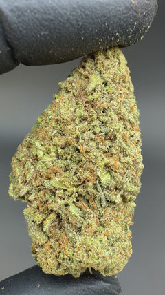 Critical Berries CBD Flower Sun grown