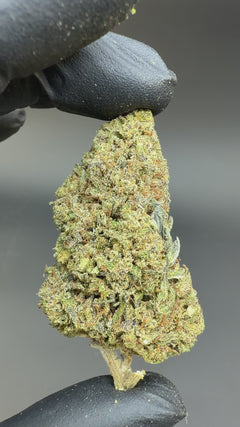 Fyre OG CBD Flower Sun grown