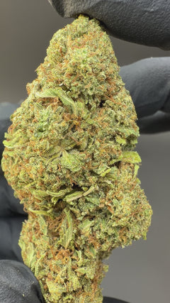 Lavender Cupcakes CBD Flower Sun grown