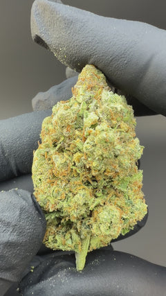 Amnesia Haze CBD Flower