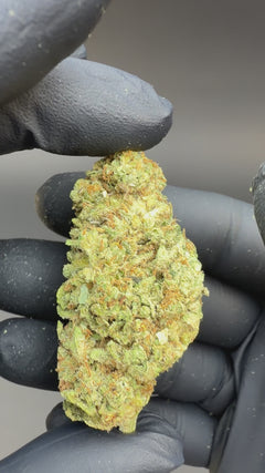 Allium OG CBD Flower