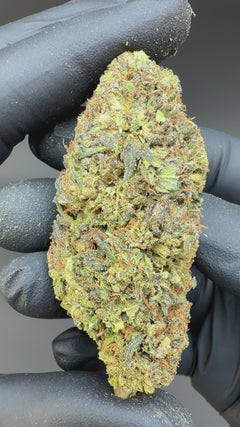 Royal OG CBD Flower Sun grown