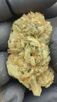 Lemon CBG Flower