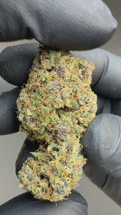 Ultra Pink CBD Flower