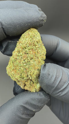 Super Lemon Haze CBD Flower