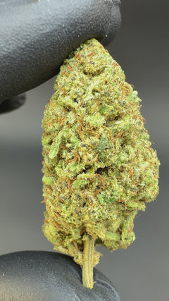Sour Lifter CBD Flower Sun grown