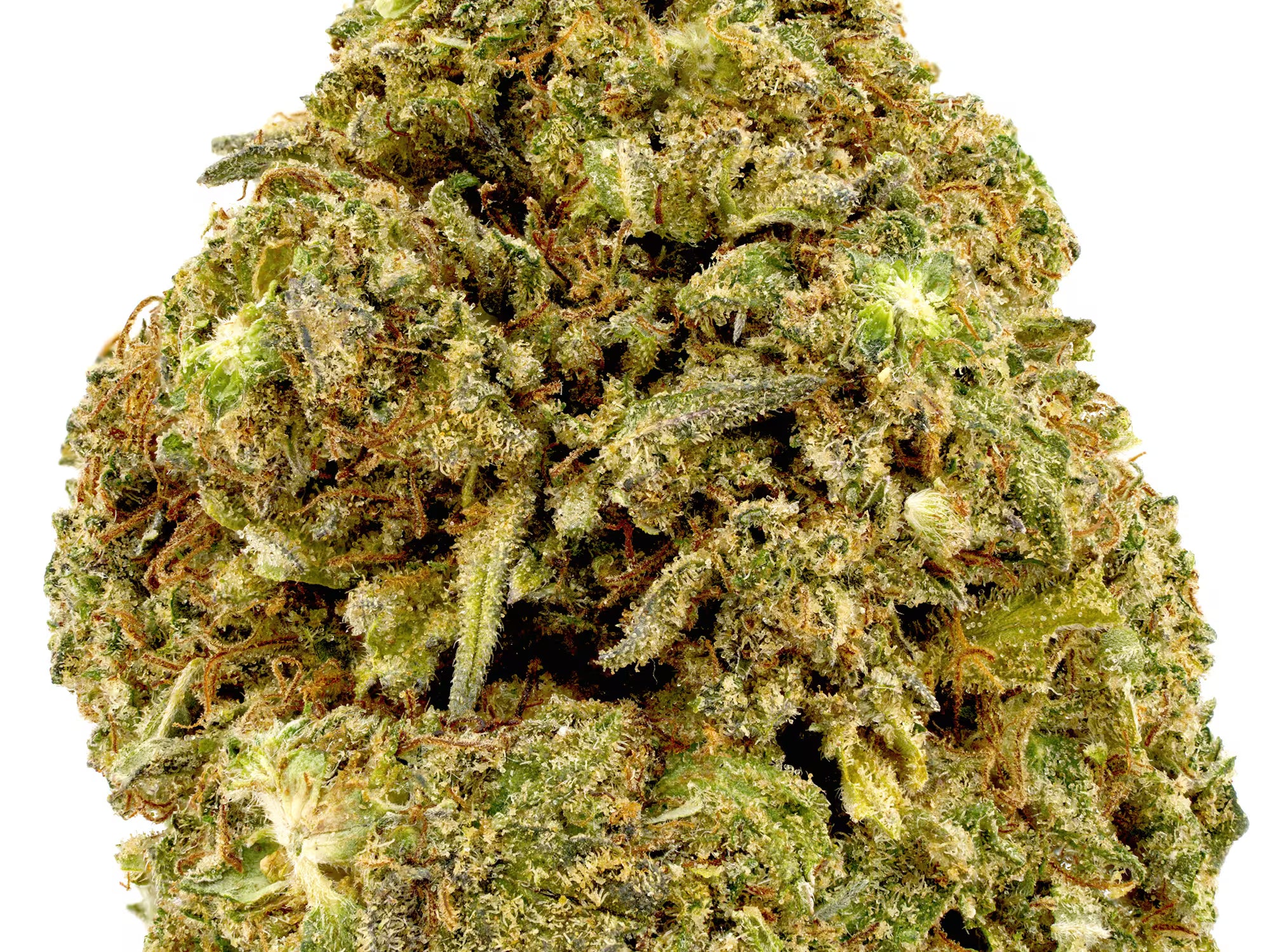 Close-up of A Picture of Puff Pastries CBD flower bud with a white background