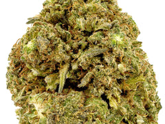 Puff Pastries CBD Flower Sun grown