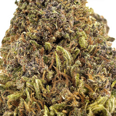 Rainbow Sherbet CBD Flower Sun grown