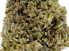 Royal OG CBD Flower Sun grown