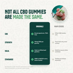 Wild Cherries CBD Gummies